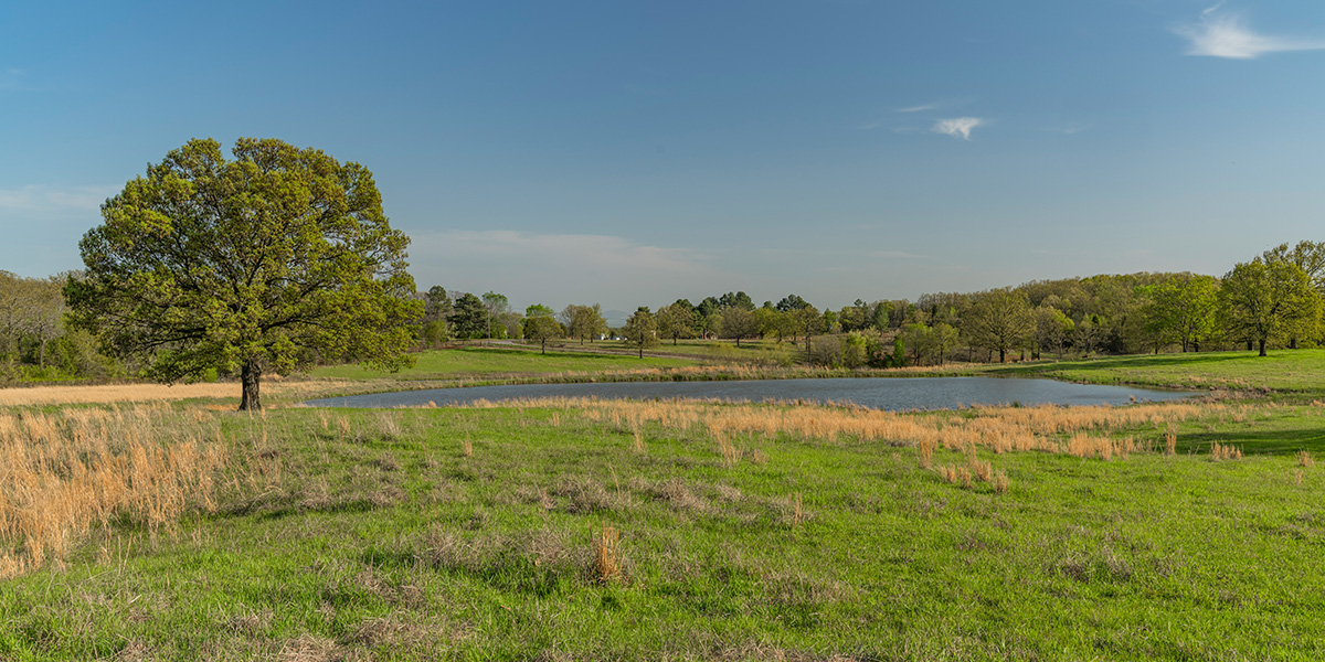 Open pasture and pond on the Log Land Farms property in Muldrow, Oklahoma
